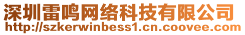 深圳雷鳴網(wǎng)絡(luò)科技有限公司