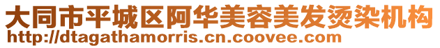 大同市平城區(qū)阿華美容美發(fā)燙染機(jī)構(gòu)