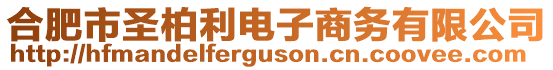 合肥市圣柏利電子商務(wù)有限公司