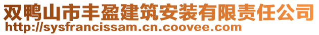 雙鴨山市豐盈建筑安裝有限責任公司