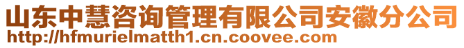 山東中慧咨詢管理有限公司安徽分公司