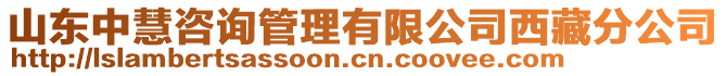 山東中慧咨詢管理有限公司西藏分公司