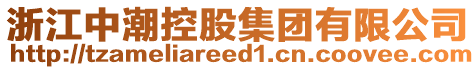 浙江中潮控股集團有限公司