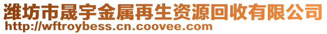 濰坊市晟宇金屬再生資源回收有限公司
