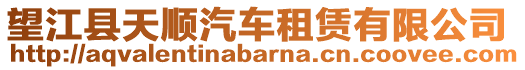 望江縣天順汽車租賃有限公司