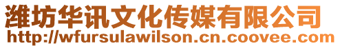 濰坊華訊文化傳媒有限公司