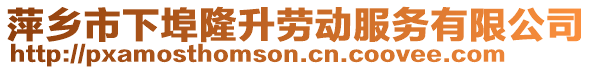 萍鄉(xiāng)市下埠隆升勞動(dòng)服務(wù)有限公司