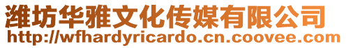 濰坊華雅文化傳媒有限公司