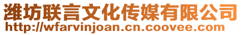 濰坊聯(lián)言文化傳媒有限公司