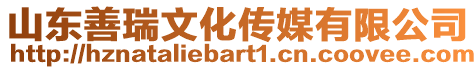 山東善瑞文化傳媒有限公司
