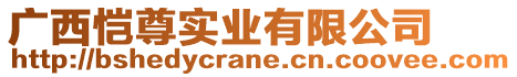 廣西愷尊實業有限公司