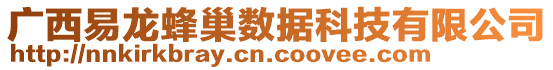 廣西易龍蜂巢數(shù)據(jù)科技有限公司