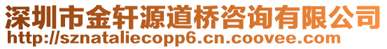 深圳市金軒源道橋咨詢有限公司
