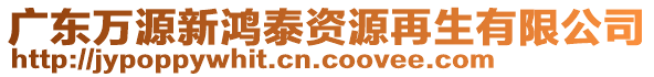 廣東萬源新鴻泰資源再生有限公司