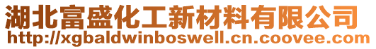 湖北富盛化工新材料有限公司