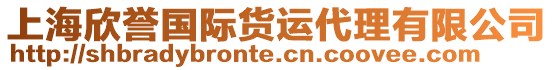 上海欣譽國際貨運代理有限公司