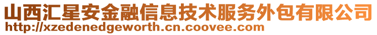 山西匯星安金融信息技術服務外包有限公司