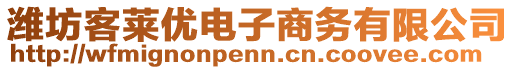 濰坊客萊優(yōu)電子商務(wù)有限公司