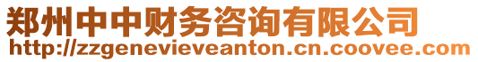 鄭州中中財(cái)務(wù)咨詢有限公司