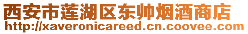 西安市蓮湖區(qū)東帥煙酒商店