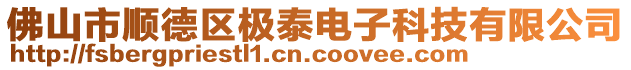 佛山市顺德区极泰电子科技有限公司