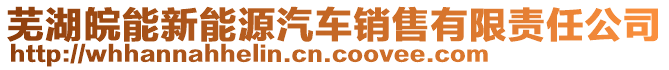 蕪湖皖能新能源汽車銷售有限責任公司