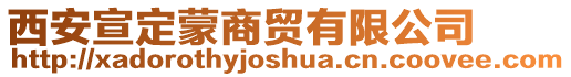 西安宣定蒙商貿(mào)有限公司