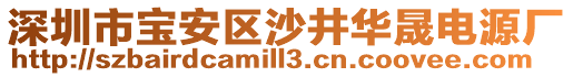 深圳市寶安區(qū)沙井華晟電源廠