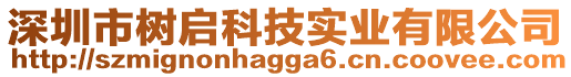 深圳市樹啟科技實業(yè)有限公司