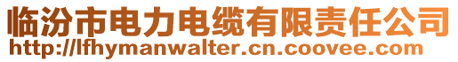 臨汾市電力電纜有限責任公司