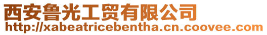 西安魯光工貿(mào)有限公司