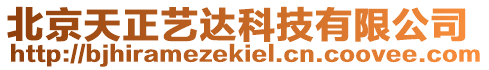 北京天正藝達(dá)科技有限公司