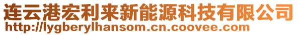 連云港宏利來新能源科技有限公司