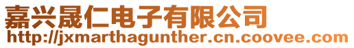 嘉興晟仁電子有限公司
