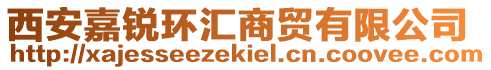 西安嘉銳環(huán)匯商貿(mào)有限公司