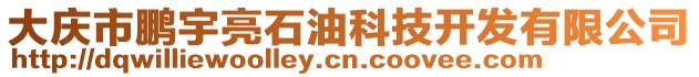 大慶市鵬宇亮石油科技開(kāi)發(fā)有限公司