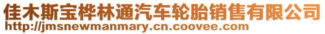 佳木斯寶樺林通汽車輪胎銷售有限公司