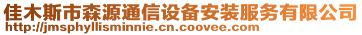 佳木斯市森源通信設備安裝服務有限公司