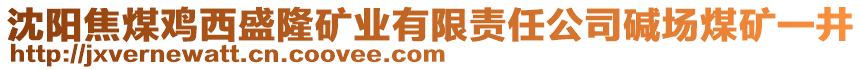 沈陽(yáng)焦煤雞西盛隆礦業(yè)有限責(zé)任公司堿場(chǎng)煤礦一井