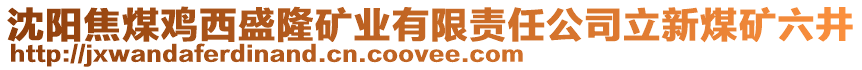 沈陽焦煤雞西盛隆礦業(yè)有限責(zé)任公司立新煤礦六井