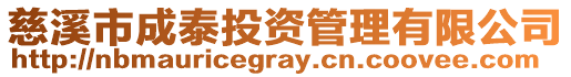慈溪市成泰投資管理有限公司