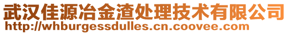 武漢佳源冶金渣處理技術(shù)有限公司