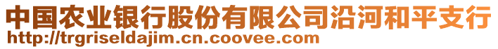 中國農(nóng)業(yè)銀行股份有限公司沿河和平支行