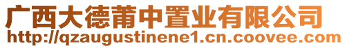 廣西大德莆中置業有限公司