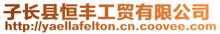 子長縣恒豐工貿(mào)有限公司