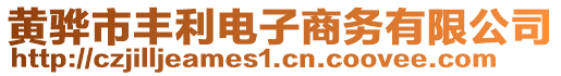 黃驊市豐利電子商務(wù)有限公司