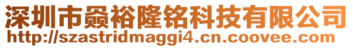 深圳市赑裕隆銘科技有限公司