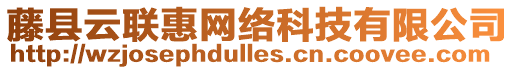 藤縣云聯(lián)惠網(wǎng)絡(luò)科技有限公司