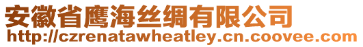 安徽省鷹海絲綢有限公司