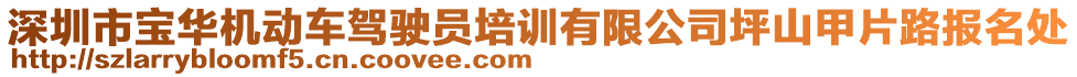 深圳市寶華機(jī)動車駕駛員培訓(xùn)有限公司坪山甲片路報名處